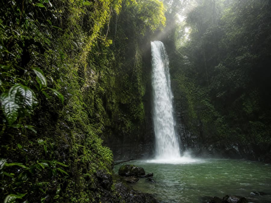 A tall jungle waterfall falling into a clear green plunge pool in a steep gorge of wet black volcanic rock, ferns and vines crowding the walls.