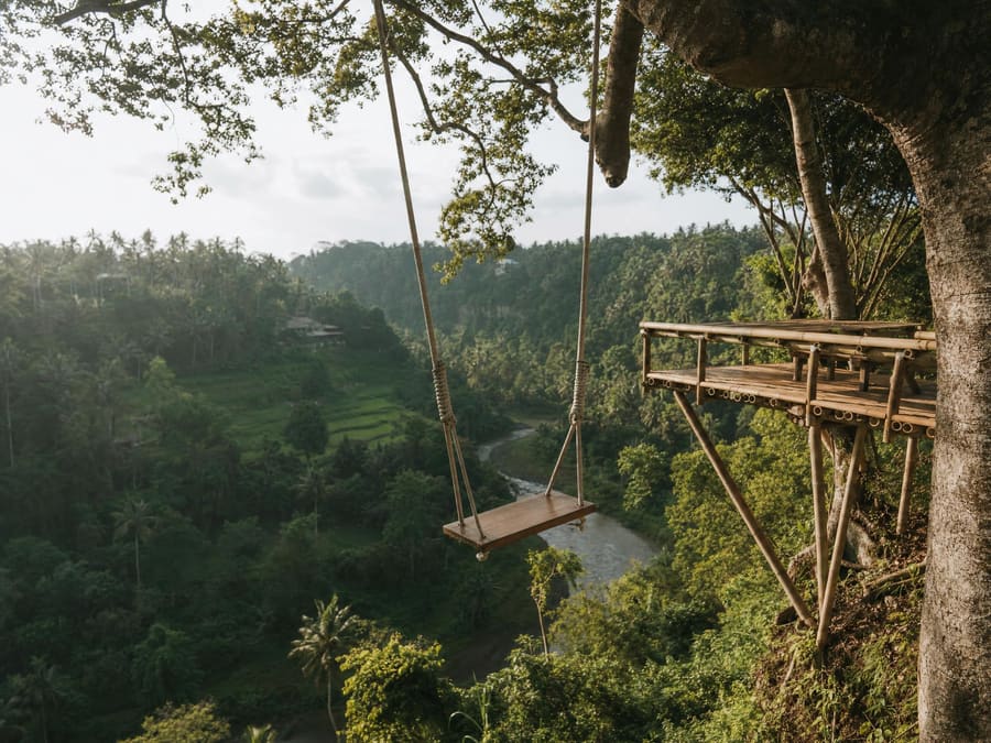 An empty wooden swing seat hanging on long ropes from a tall tree, swinging out over a deep jungle river gorge with a terraced green valley far below.